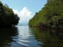 2 órás hajós mangrove túra